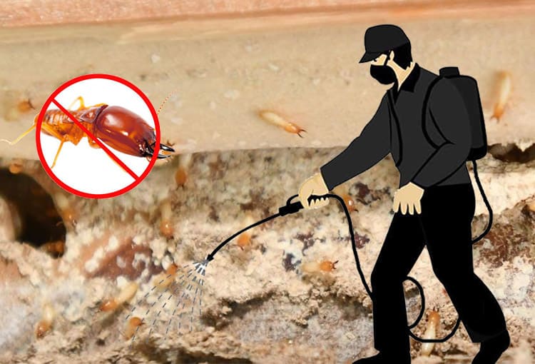 Commercial Pest Control: Minimizing Disruption to Business